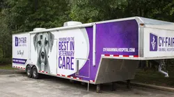 Trois vétos à Houston Médecins récompensés