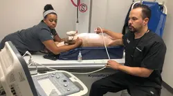 Trois vétos à Houston Une tumeur de 7 kg