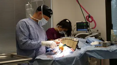 Promesse de longue date