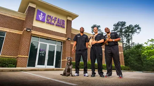 Trois vétos à Houston