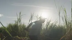 Trop chaud pour travailler