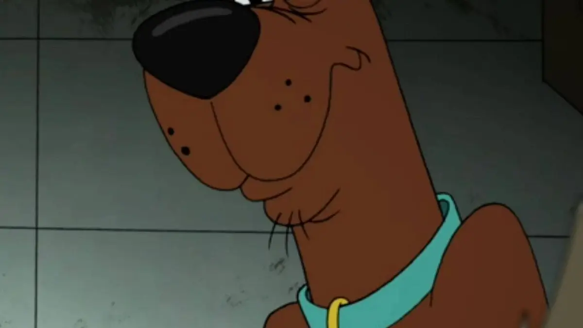 Trop cool, Scooby-Doo ! S02E14 Le magicien