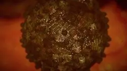 Sur TLC à 21h00 : Tropiques et parasites