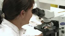 Tropiques et parasites