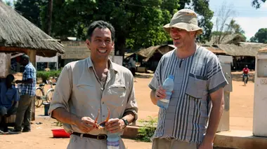 Tropiques et parasites