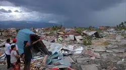 Tsunami 2004 : ils ont filmé la catastrophe du siècle