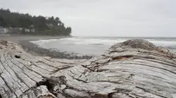 Tsunamis, du mythe à la réalité