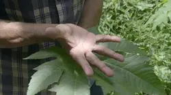 Visuel de Tu crois que la terre est chose morte