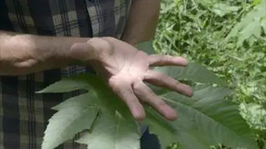 Tu crois que la terre est chose morte