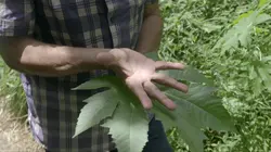 Tu crois que la terre est chose morte