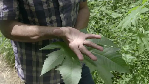 Tu crois que la terre est chose morte
