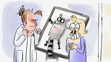 La pilosité des insectes