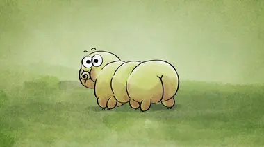 Heureux qui comme le tardigrade...