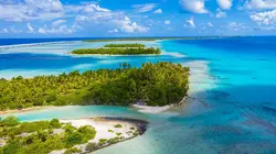 Tuamotu sauvages