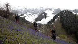 Turquie : Les graines du labeur