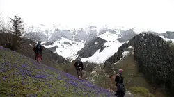 Turquie : Les graines du labeur