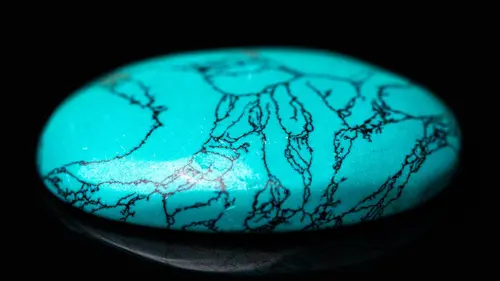 Turquoise Fever Une bonne leçon