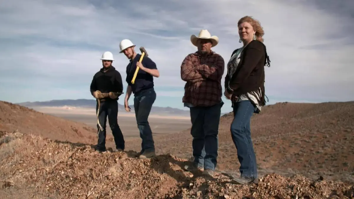 Audiences TV : Turquoise Fever