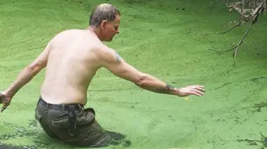 Un serpent dans les toilettes