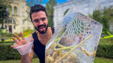 Cuisiner rend-il heureux ?