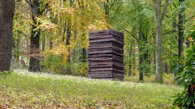 La forêt, lieu de refuge ou de protestation ?