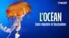L'océan : entre mystère et fascination