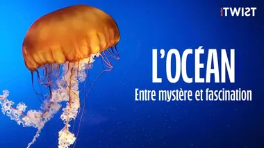L'océan : entre mystère et fascination