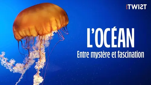 Twist L'océan : entre mystère et fascination