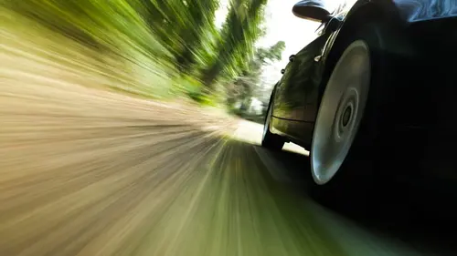 Type E, le fauve éternel