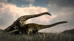 Sur TLC à 21h00 : Tyrannosaurus Sex