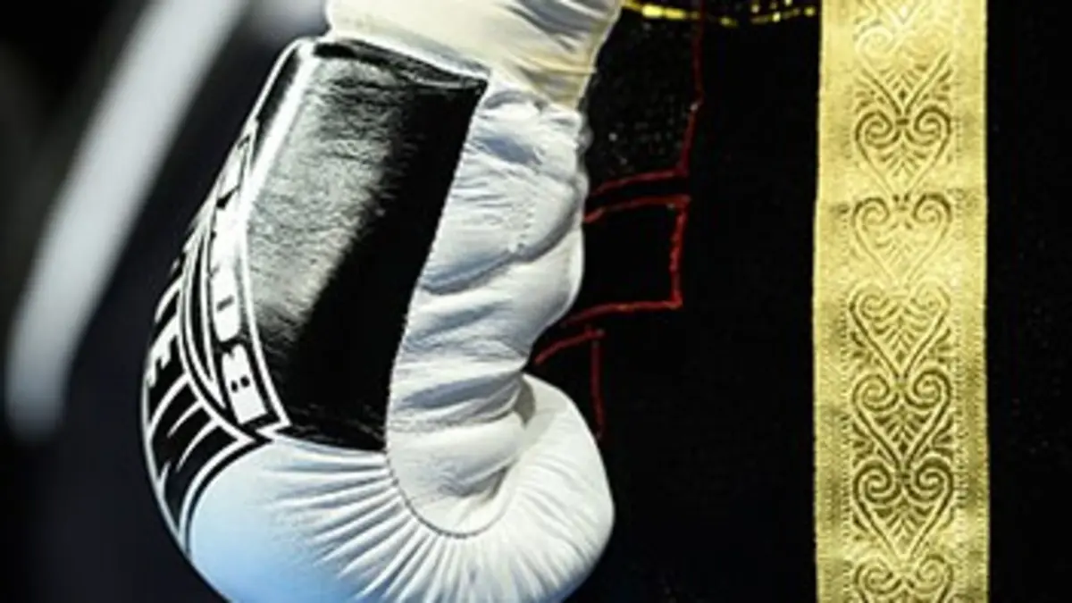 Tyson Fury (G-B) / Dereck Chisora (G-B) et Wladimir Klitschko (Ukr) / Kubrat Pulev (Bul) Boxe Championnat d'Europe et du monde