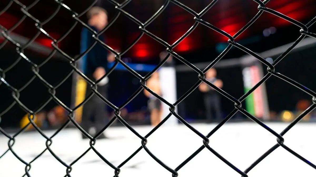 UFC : Conférence de presse