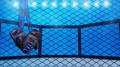 UFC Main Event