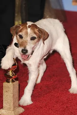 Photo  UGGIE
