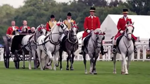 Épisodes de UK Berceau du galop