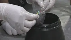 Ultimate Airport Amérique latine Haute trahison