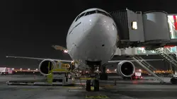 Ultimate Airport Dubaï Chevaux de course