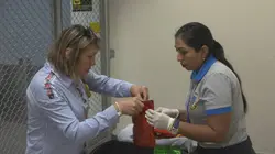 Ultimate Airport : Pérou et Brésil