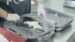 Ultimate Airport Rome