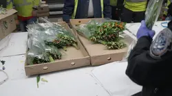 Ultimate Airport USA Descente musclée