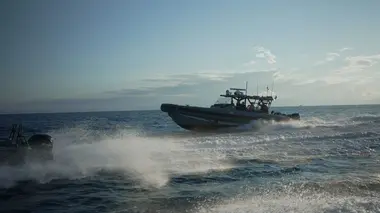 The Pill-Packing Pilot