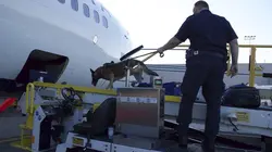 Ultimate Airport USA Cocaïne, gâteau et billets