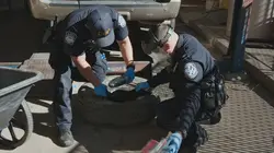 Ultimate Airport USA Methmobile