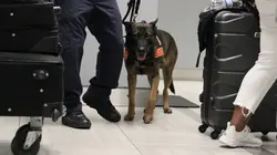 Ultimate Airport USA Saisie à sept chiffres