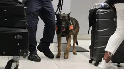 Ultimate Airport USA Saisie à sept chiffres