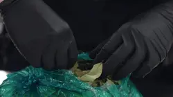 Ultimate Airport USA Jamais sans ma coke