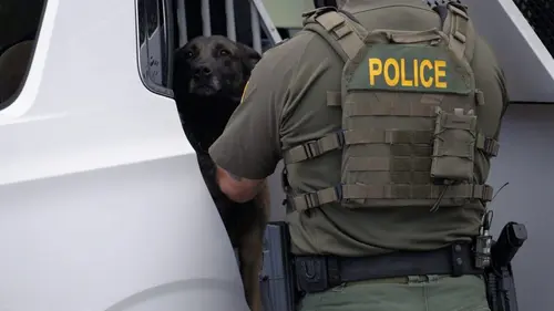 Ultimate Airport USA Mauvaises herbes