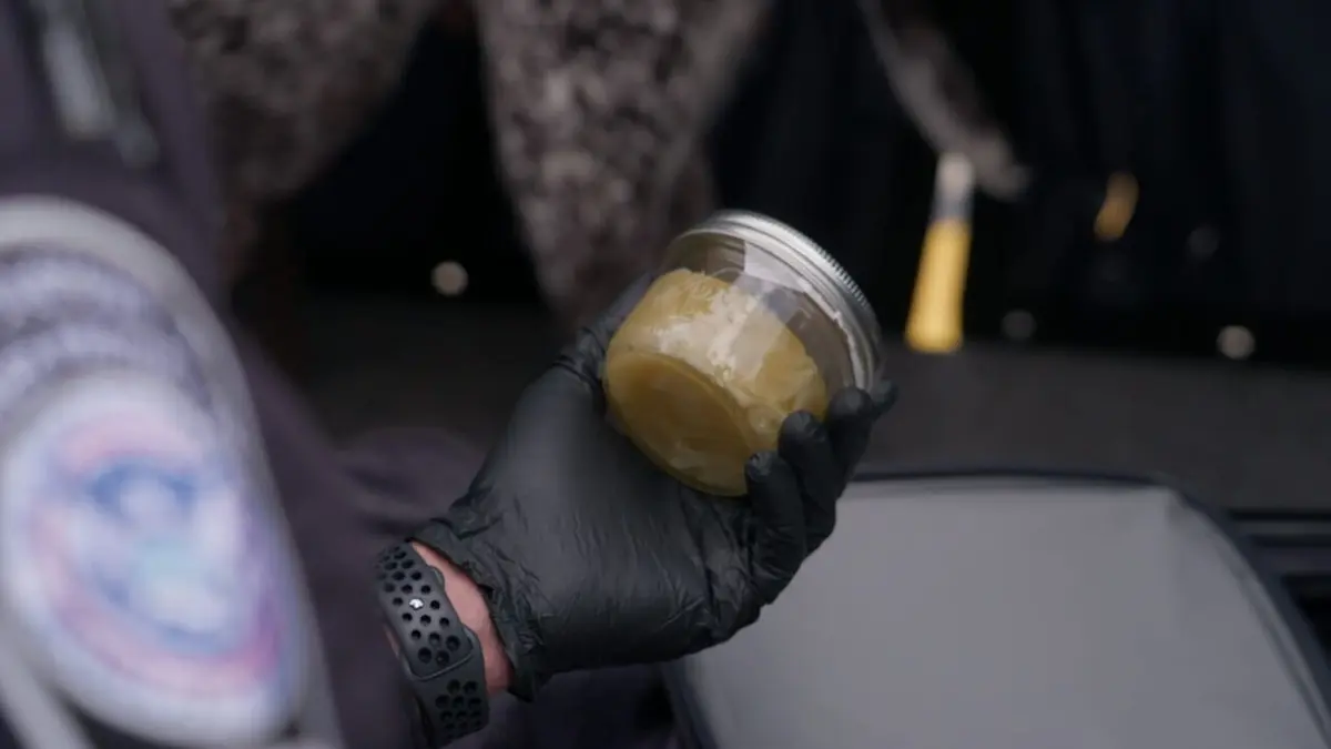 Visuel de Ultimate Airport USA Mamamphétamines