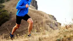 Visuel de Ultra-trail du Mont-Blanc, la course de leur vie
