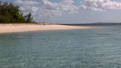 Visuel de Un air de paradis